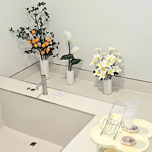 퐁낭에염 게스트하우스 제주