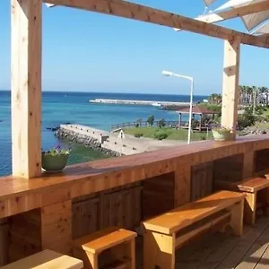 아프리카 게스트하우스 제주